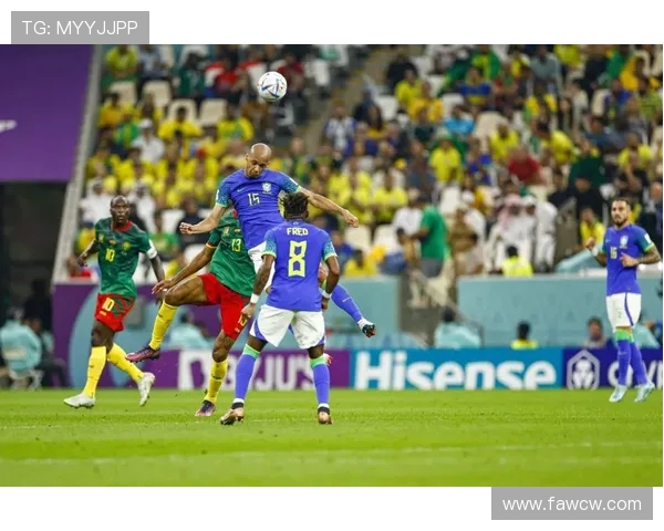 非洲杯历史夺冠次数榜 埃及七次称王 喀麦隆加纳紧随其后